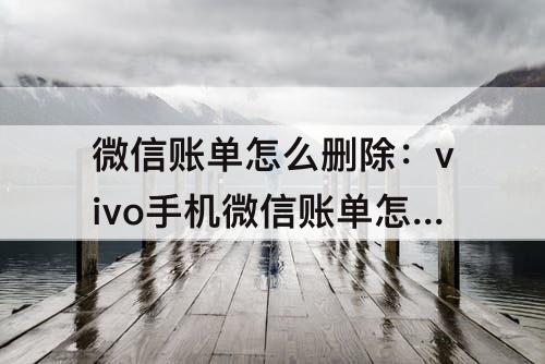 微信账单怎么删除：vivo手机微信账单怎么删除