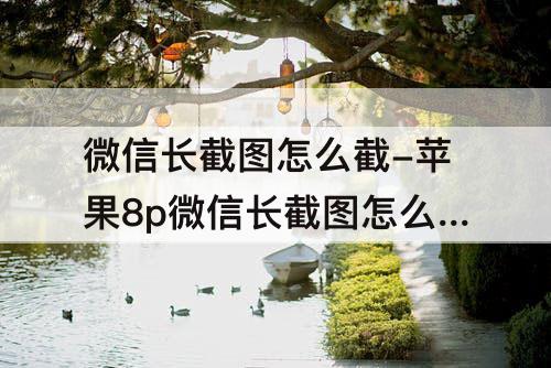 微信长截图怎么截-苹果8p微信长截图怎么截
