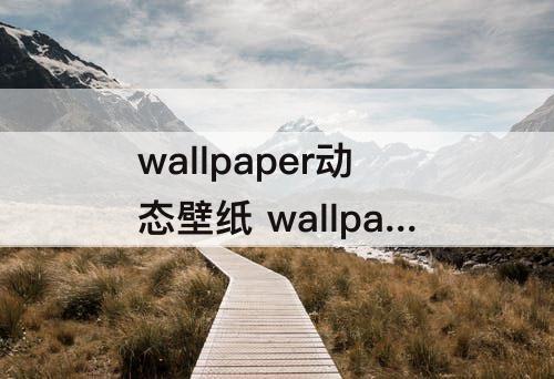 wallpaper动态壁纸 wallpaper动态壁纸下载PC