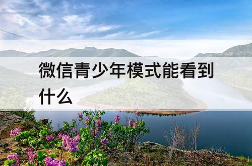微信青少年模式能看到什么