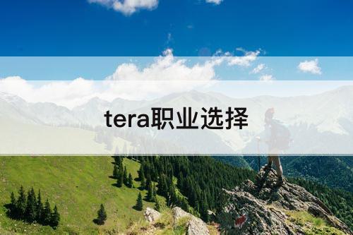 tera职业选择