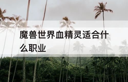 魔兽世界血精灵适合什么职业