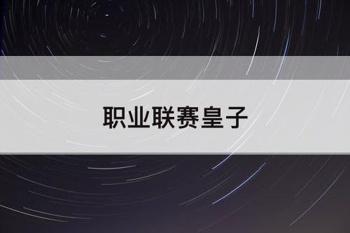 职业联赛皇子