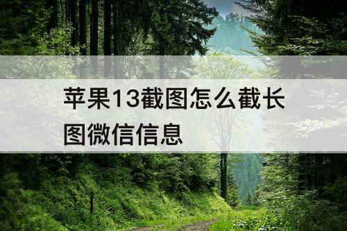 苹果13截图怎么截长图微信信息