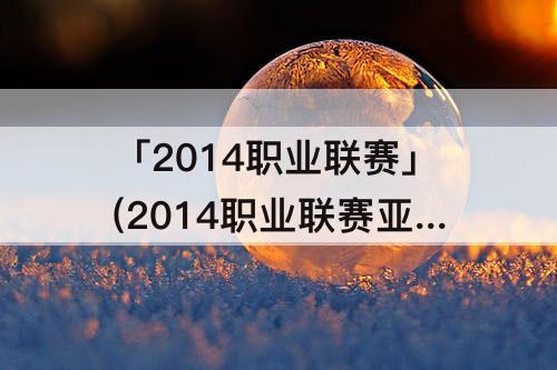 「2014职业联赛」(2014职业联赛亚索)