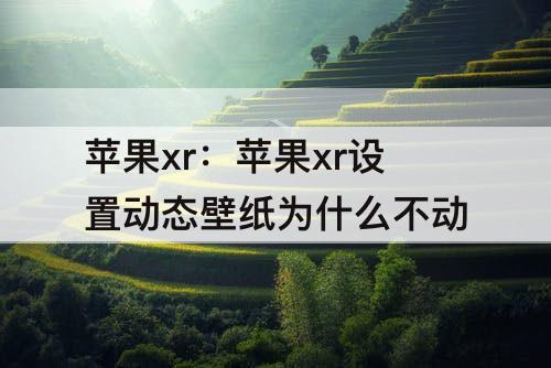 苹果xr：苹果xr设置动态壁纸为什么不动