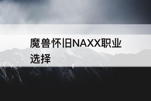 魔兽怀旧NAXX职业选择