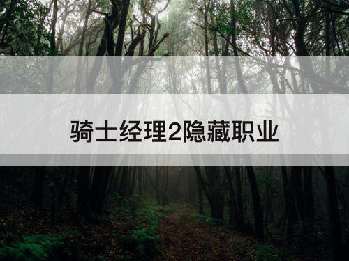 骑士经理2隐藏职业