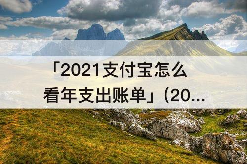 「2021支付宝怎么看年支出账单」(2021支付宝怎么看年支出账单图片)