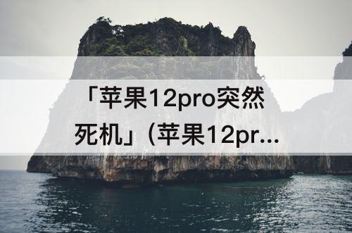 「苹果12pro突然死机」(苹果12pro突然死机因为微信)