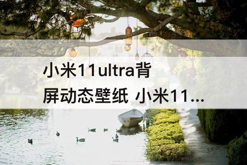 小米11ultra背屏动态壁纸 小米11ultra背屏动态壁纸太空人