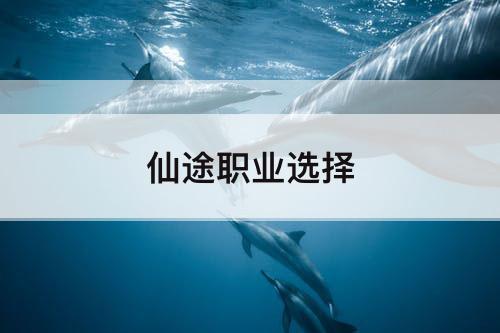 仙途职业选择