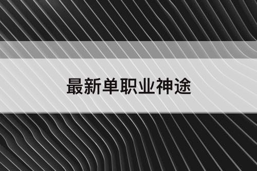 最新单职业神途