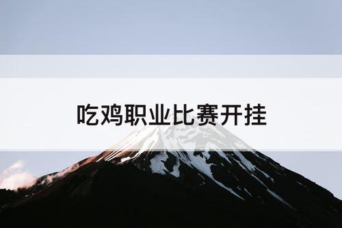 吃鸡职业比赛开挂