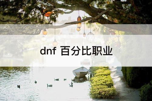 dnf 百分比职业