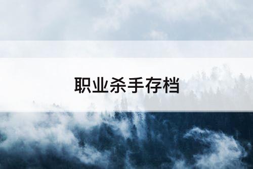 职业杀手存档