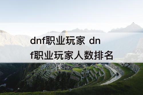 dnf职业玩家 dnf职业玩家人数排名