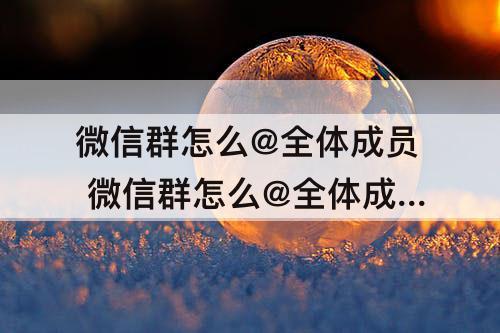 微信群怎么@全体成员 微信群怎么@全体成员不是群主