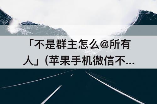 「不是群主怎么@所有人」(苹果手机微信不是群主怎么@所有人怎么操作)