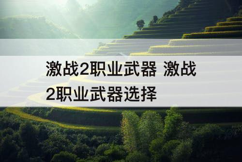 激战2职业武器 激战2职业武器选择