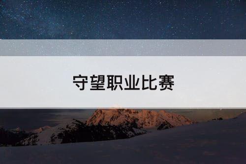 守望职业比赛