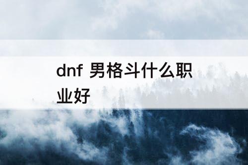 dnf 男格斗什么职业好