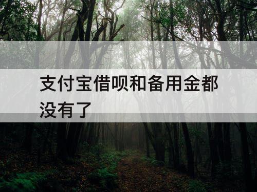 支付宝借呗和备用金都没有了