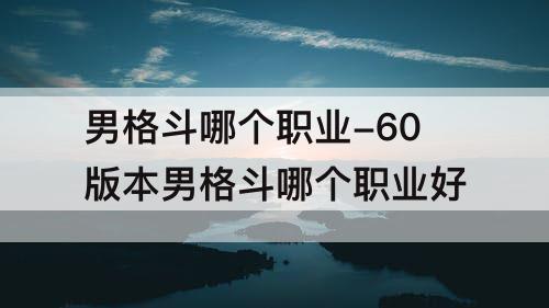 男格斗哪个职业-60版本男格斗哪个职业好