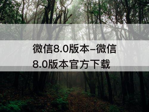 微信8.0版本-微信8.0版本官方下载