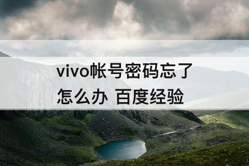vivo帐号密码忘了怎么办 百度经验