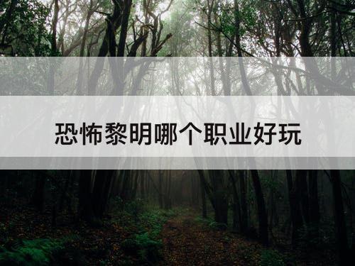 恐怖黎明哪个职业好玩