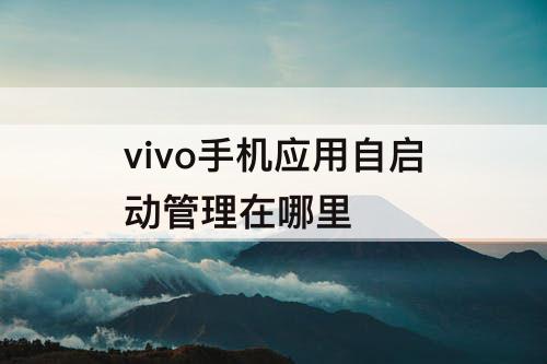 vivo手机应用自启动管理在哪里