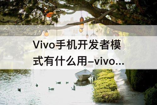 Vivo手机开发者模式有什么用-vivo手机开发者模式有什么用?