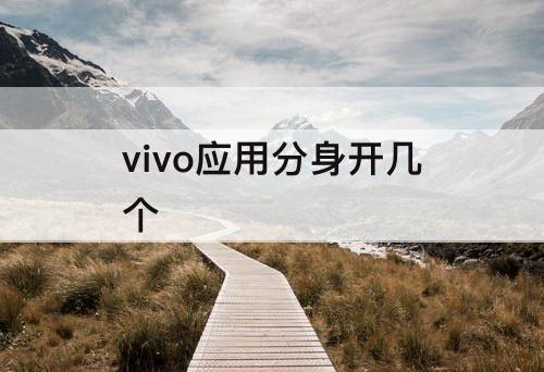 vivo应用分身开几个