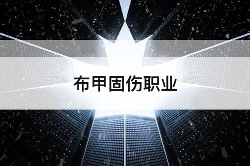 布甲固伤职业