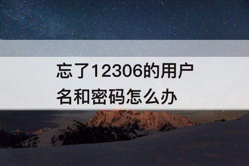 忘了12306的用户名和密码怎么办