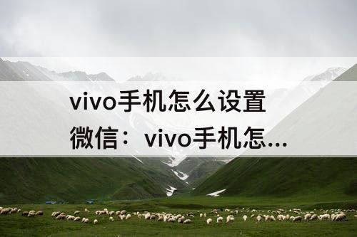 vivo手机怎么设置微信：vivo手机怎么设置微信主题背景
