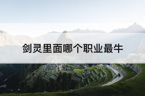 剑灵里面哪个职业最牛