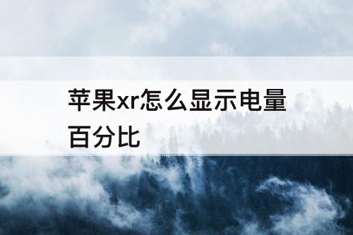 苹果xr怎么显示电量百分比