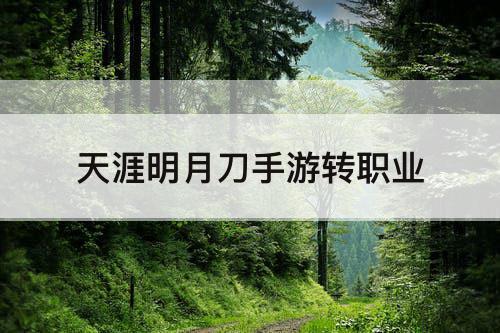 天涯明月刀手游转职业