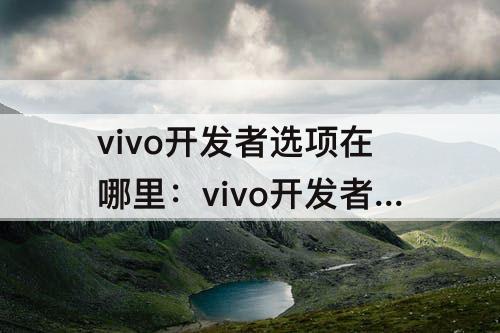 vivo开发者选项在哪里：vivo开发者选项在哪里找