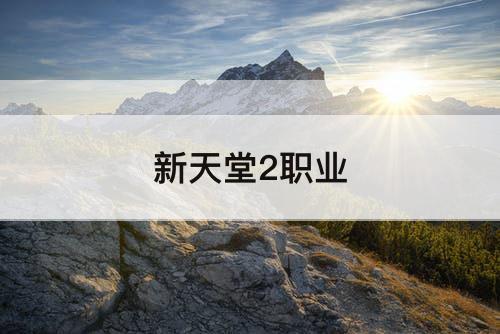 新天堂2职业
