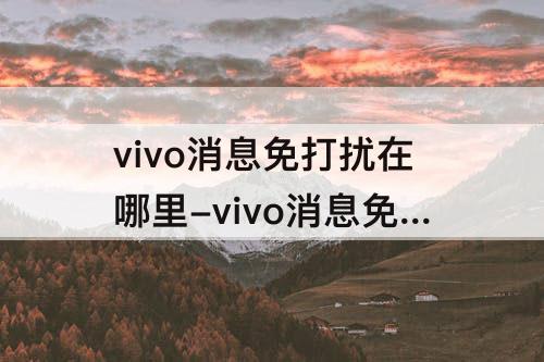 vivo消息免打扰在哪里-vivo消息免打扰在哪里设置
