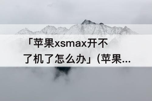 「苹果xsmax开不了机了怎么办」(苹果xsmax开不了机了怎么办还让输验证码怎么办)