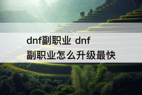 dnf副职业 dnf副职业怎么升级最快