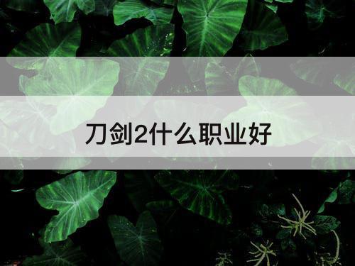 刀剑2什么职业好