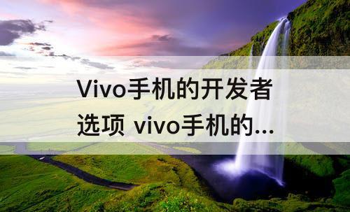 Vivo手机的开发者选项 vivo手机的开发者选项怎么打开