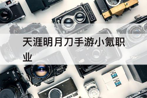 天涯明月刀手游小氪职业