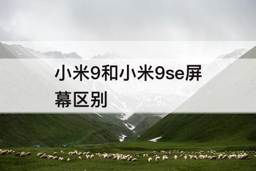 小米9和小米9se屏幕区别