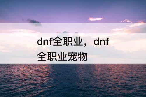 dnf全职业，dnf全职业宠物